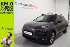 Citroen C4 Cactus BlueHDi 73KW 100CV Shine
