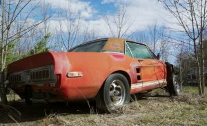 Descubierto uno de los Mustang más caros de la historia abandonado en un campo