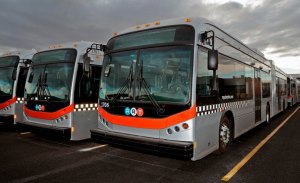 Albuquerque planea devolver una flota completa de autobuses eléctricos BYD